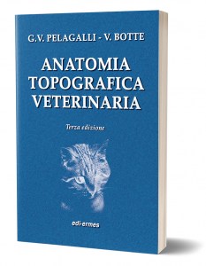 Anatomia topografica veterinaria